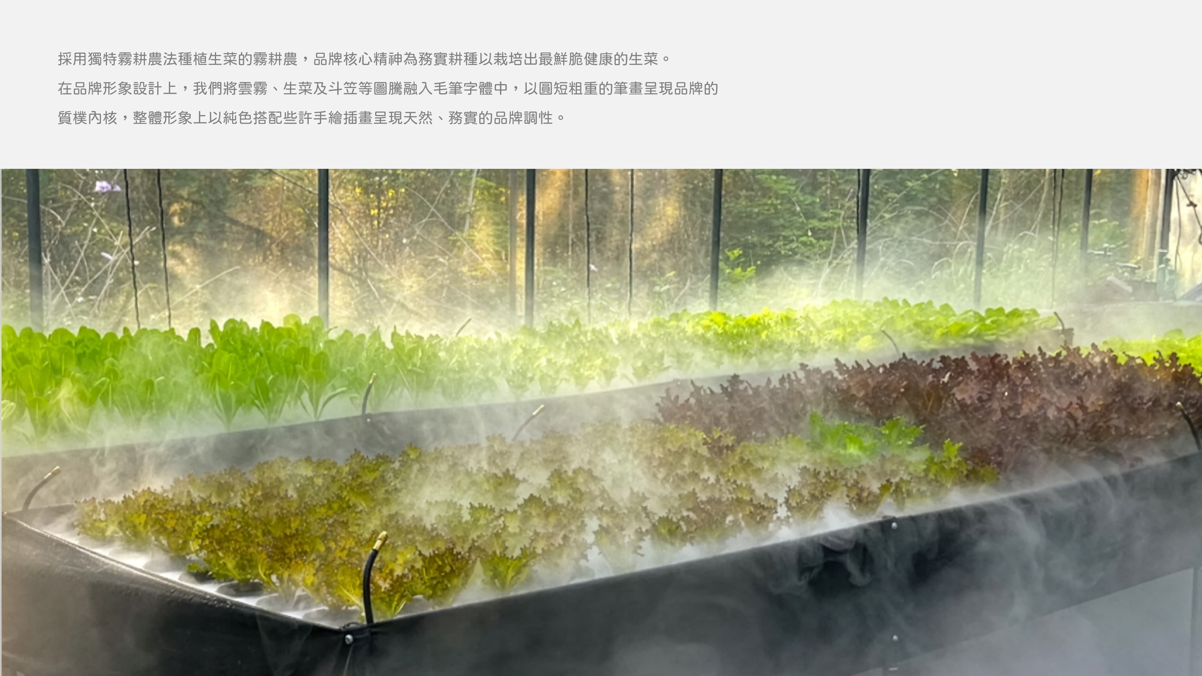 霧耕農 品牌形象設計 — 2